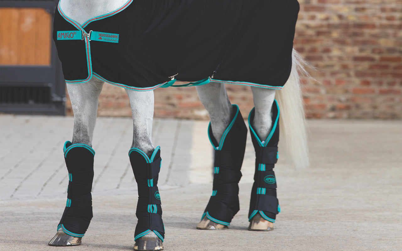 Horse Shipping Boots (The Ultimate Guide) – Farm House Tack