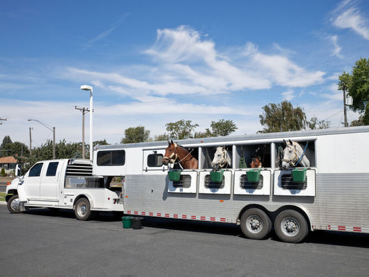 A truck pulling a horse trailer with four horses sticking their heads out of the windows