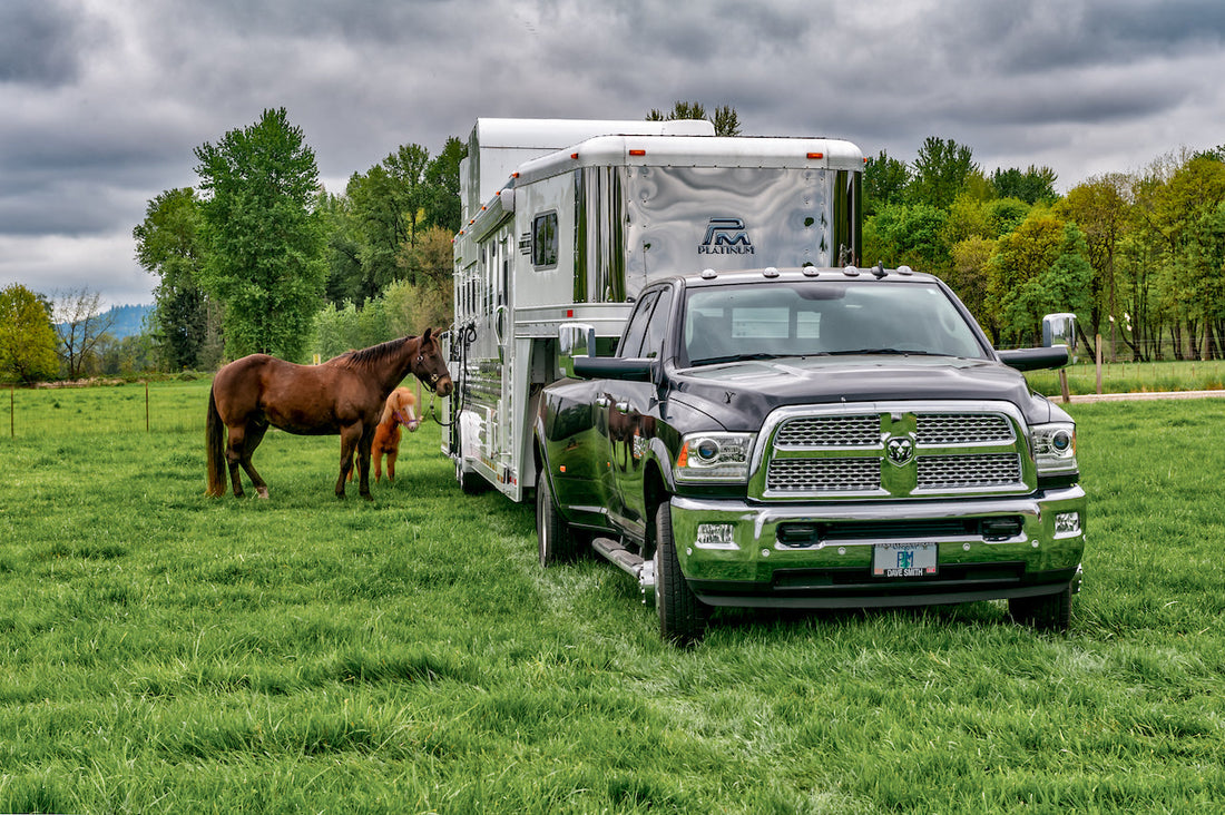 6 Best Horse Trailers with Living Quarters