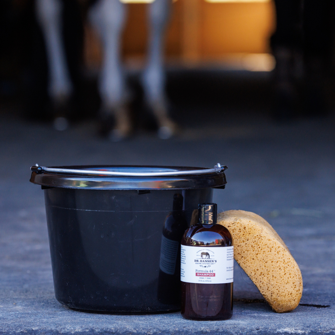 Dr. Hansen's Equine Apothecary Formula 44 Shampoo