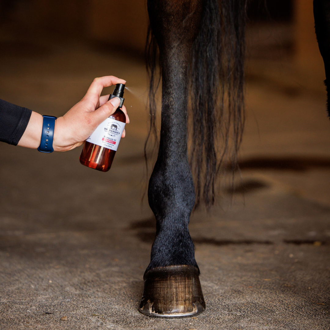 Dr. Hansen's Equine Apothecary Formula 44 Spray