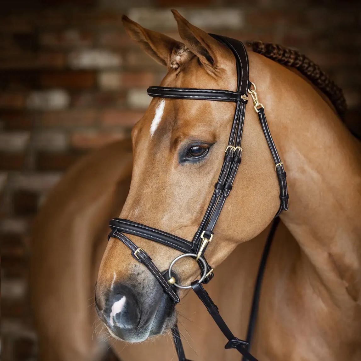 LeMieux Kudos Work Bridle