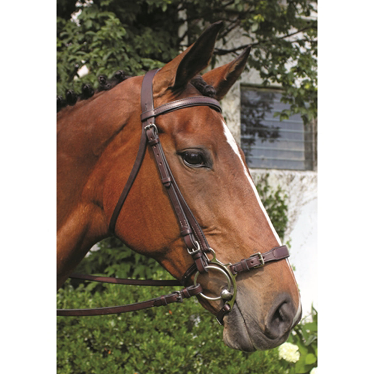 Nunn Finer Adjustable Lever Noseband