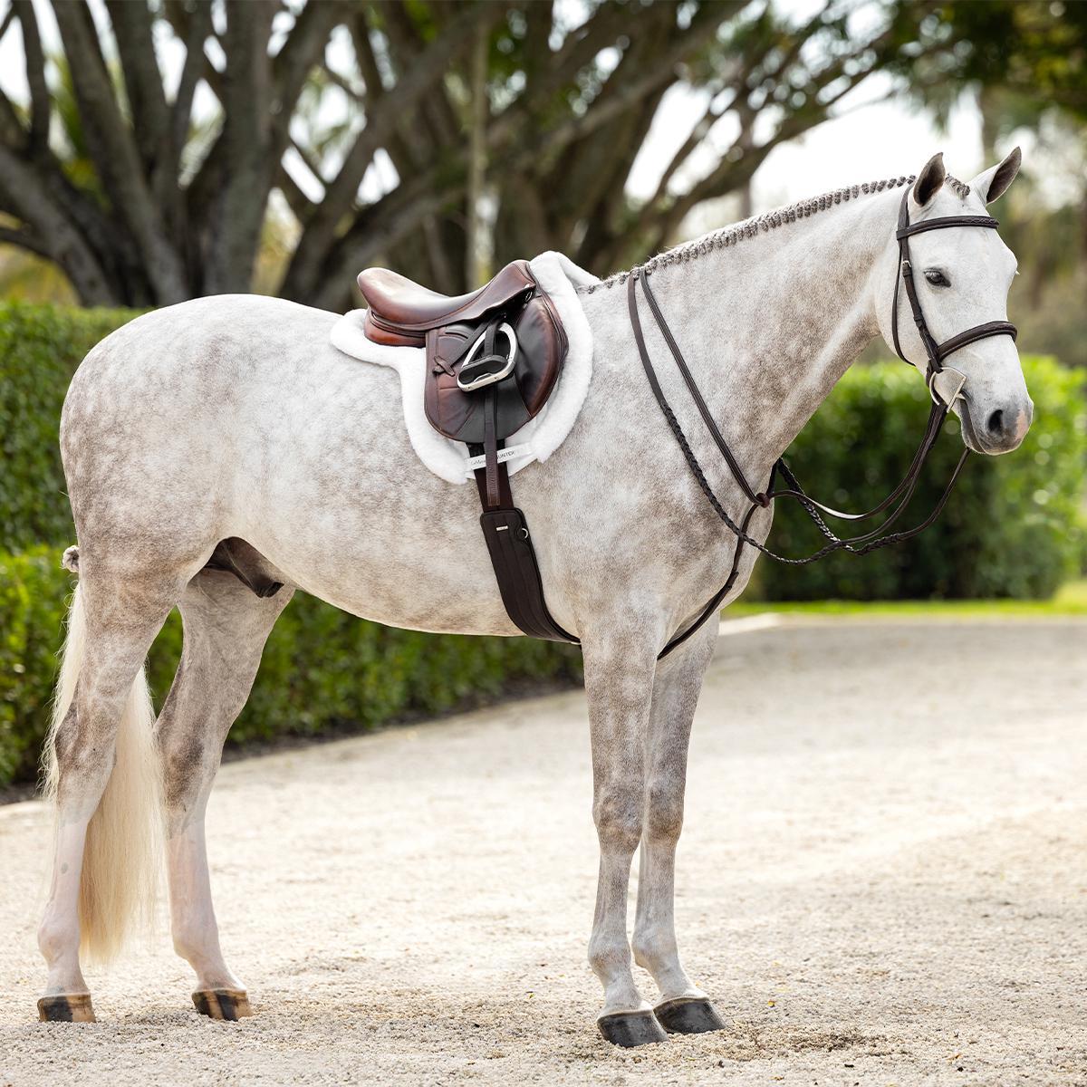 LeMieux Hunter Girth with Detachable Non-Slip Liner