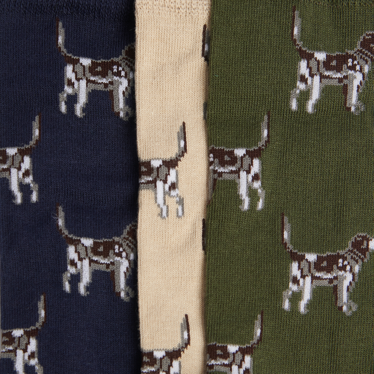 Barbour Pointer Dog Socks Gift Box, Forrest Mist, close up view