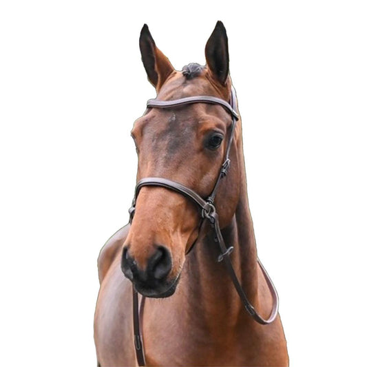 Jump'in Bitless Bridle - One Collection