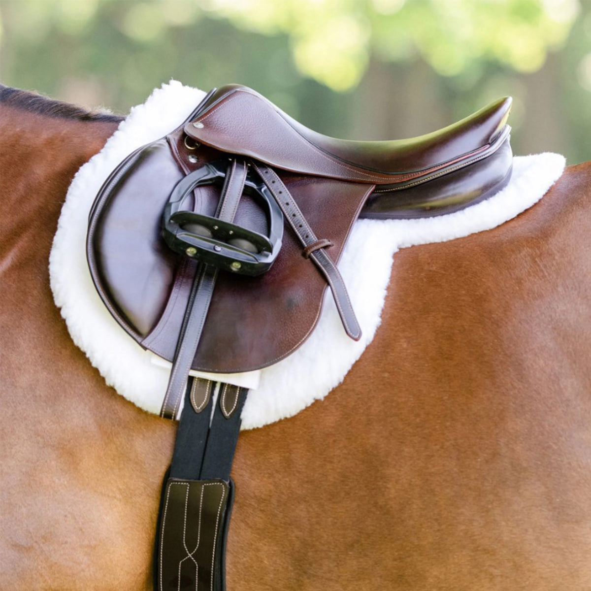 Equifit Essential Hunter Pad