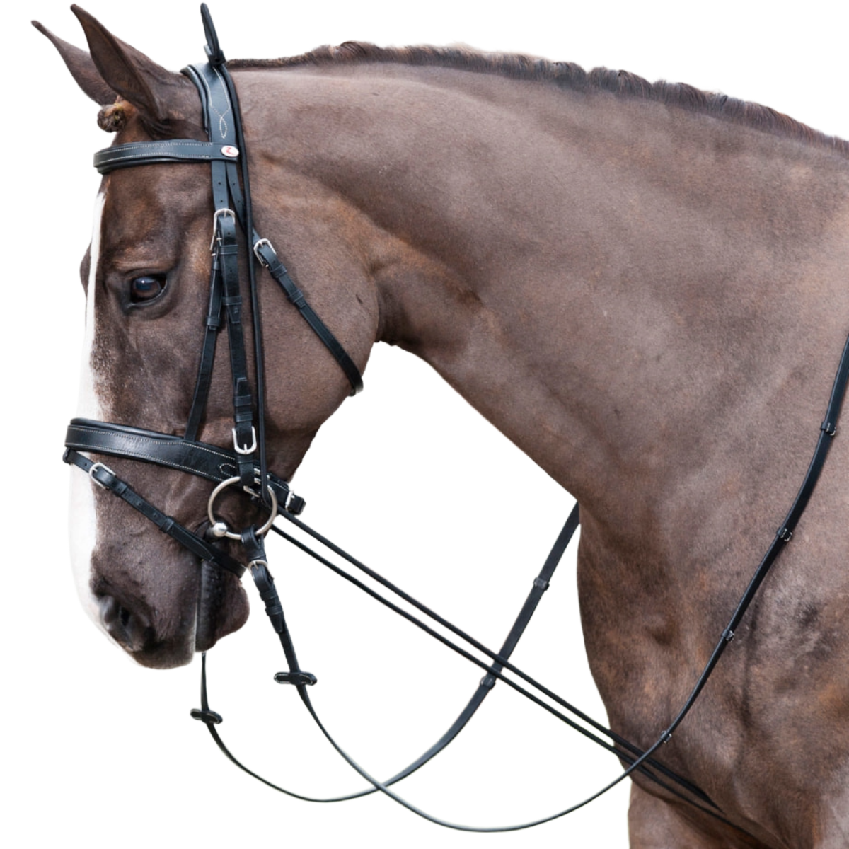 Equinavia Horze Adjustable Neck Stretcher