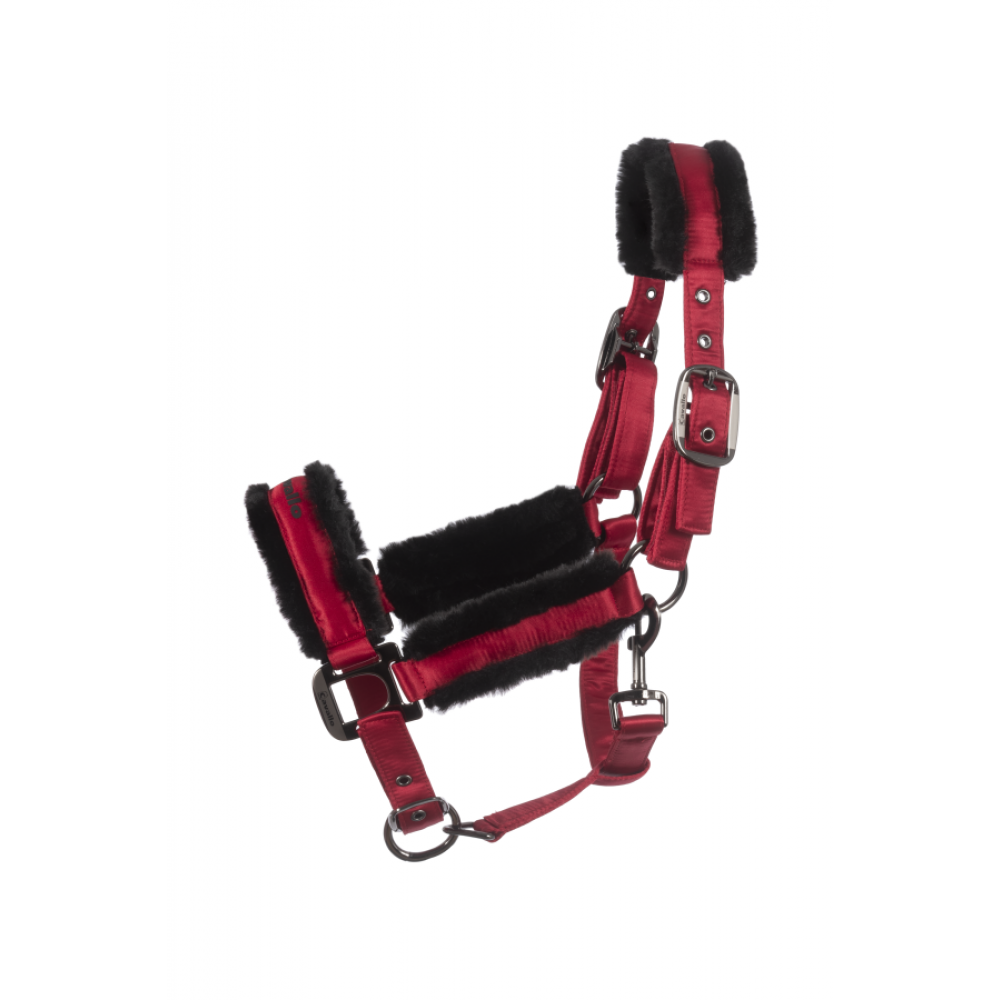 Cavallo Jero Halter - Sale