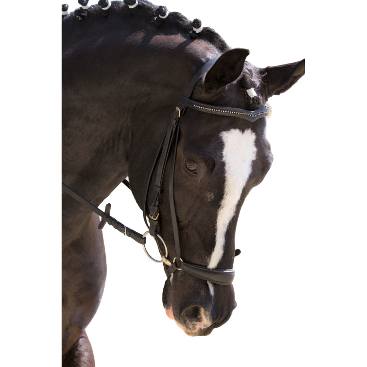 Red Barn by KL Select Drop Noseband