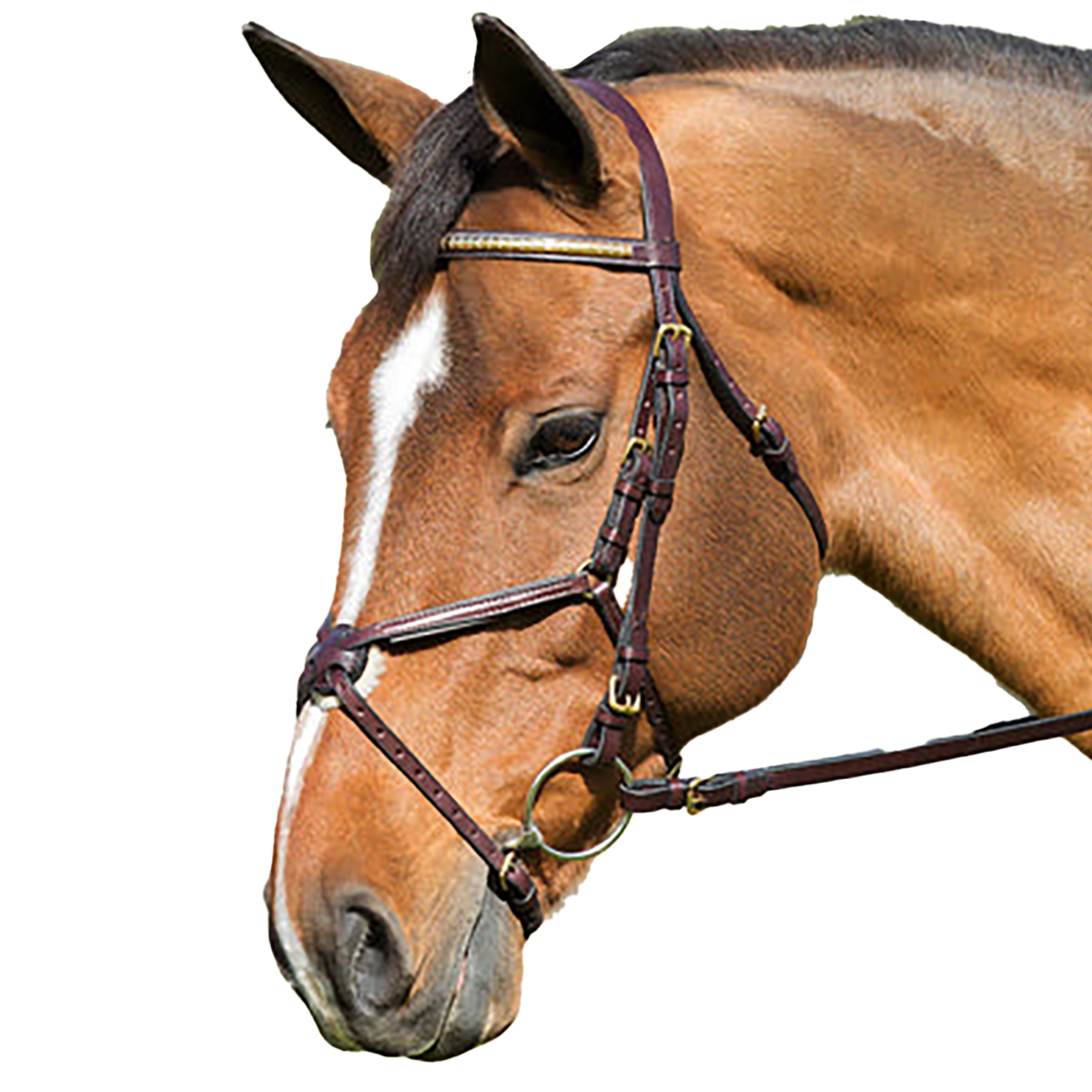 Nunn Finer Figure Eight Bridle
