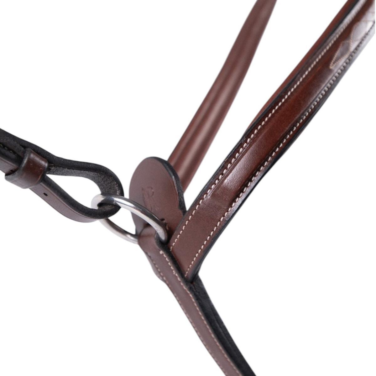 AJR Anatomic Breastplate with Clips & Running Attachment