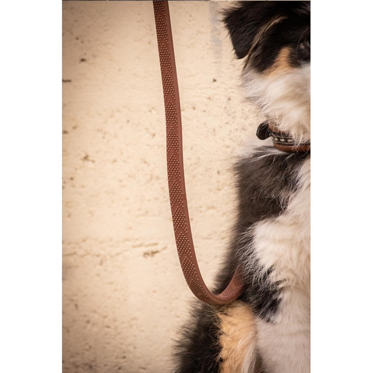 Penelope Rubber Dog Leash