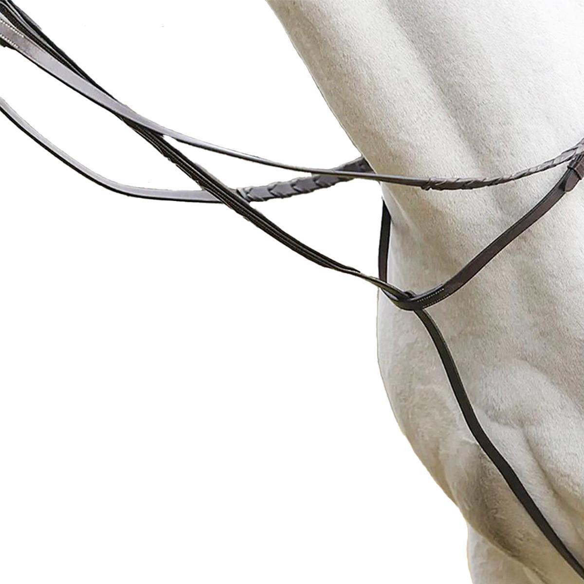 Avignon Standing Martingale