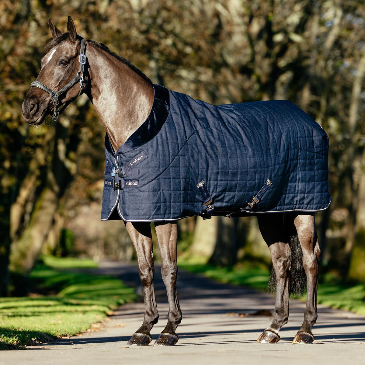 Couverture d'écurie pour cheval LeMieux Arika - navy - 198 cm Couverture d'écurie pour cheval LeMieux Arika - navy - 198 cm