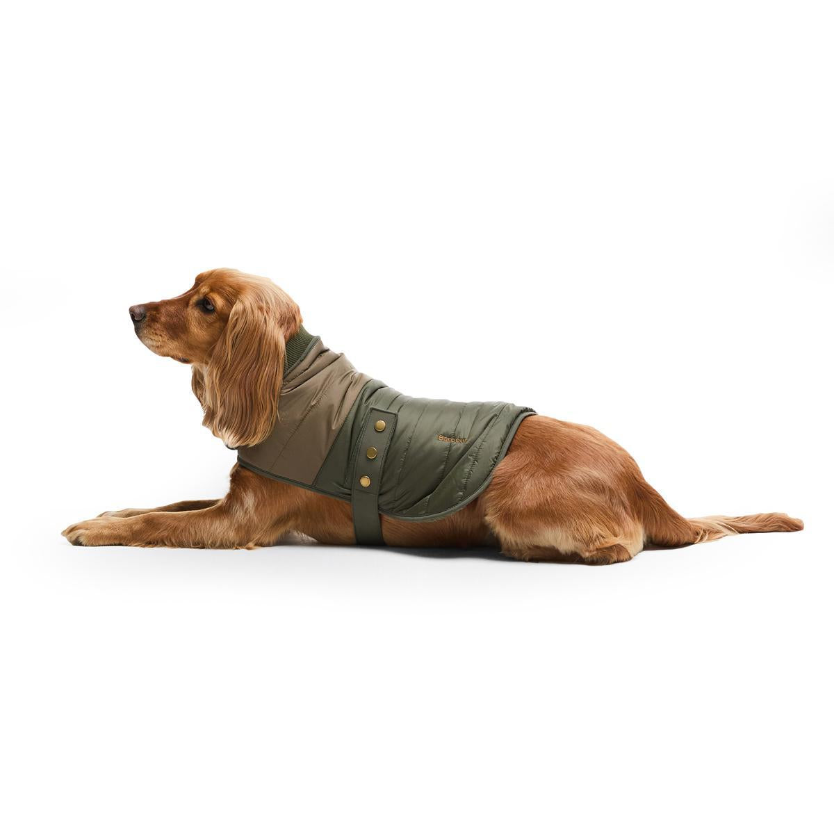 Barbour Brampton Quilted Dog Coat | Farm House Tack