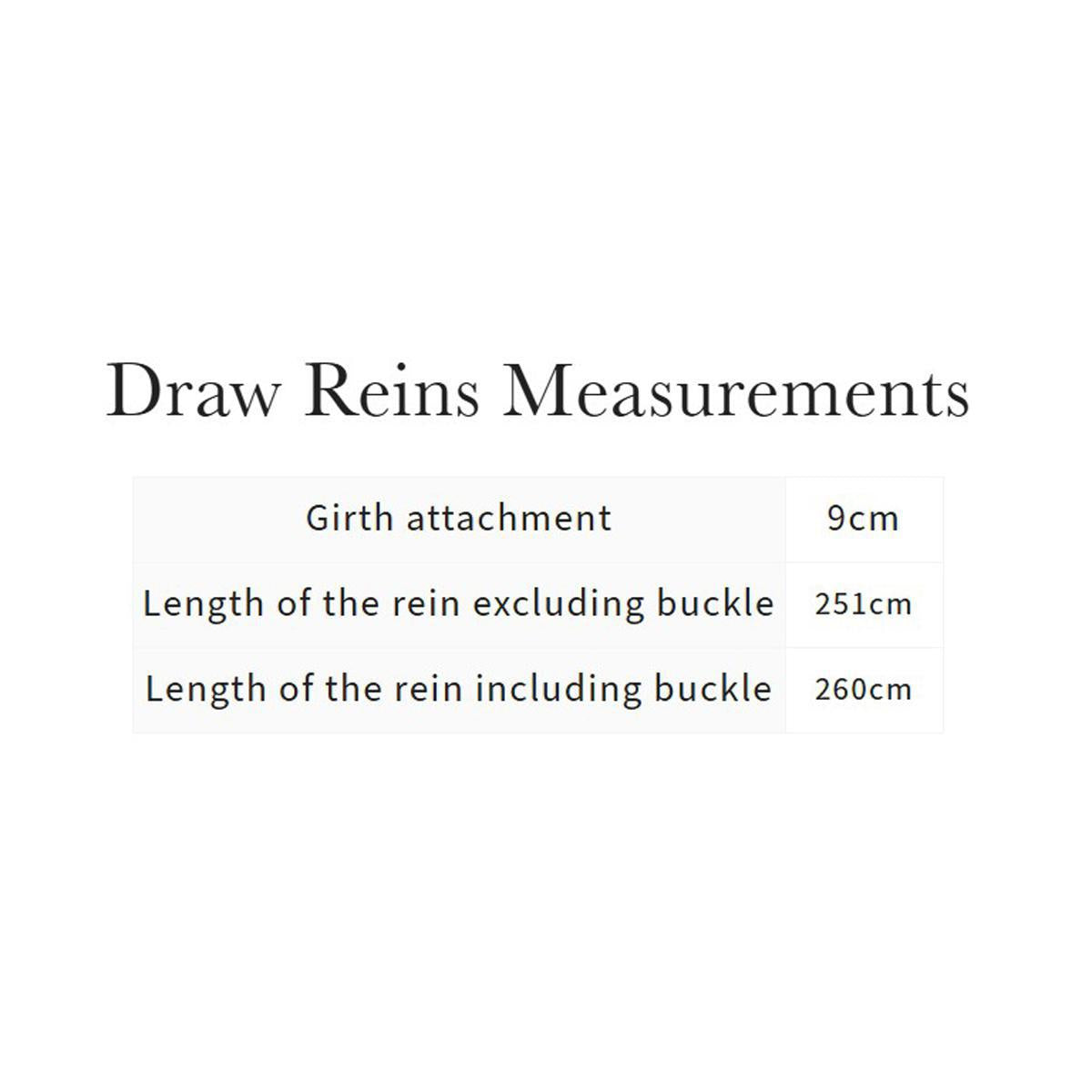 LeMieux Leather Draw Reins