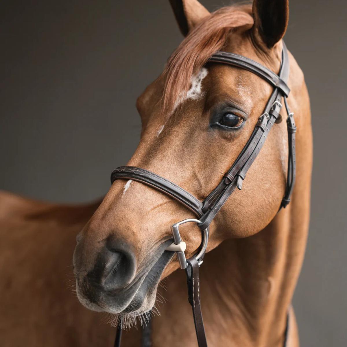 Herm Sprenger Duo Dee Ring Bit