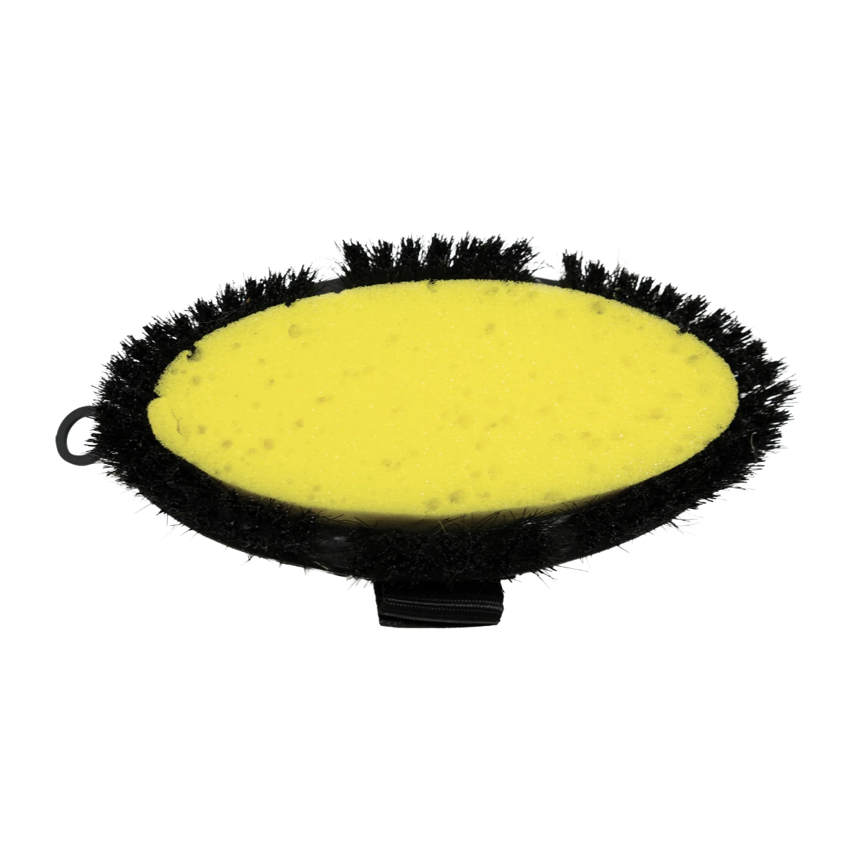 Professional's Choice Softtouch Flex Sponge - Bottom View