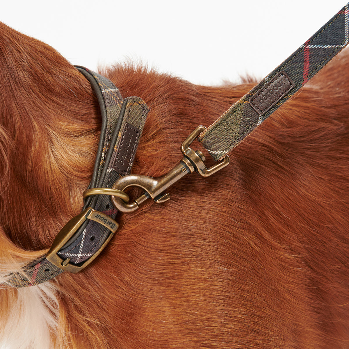 Barbour Tartan Webbing Dog Lead