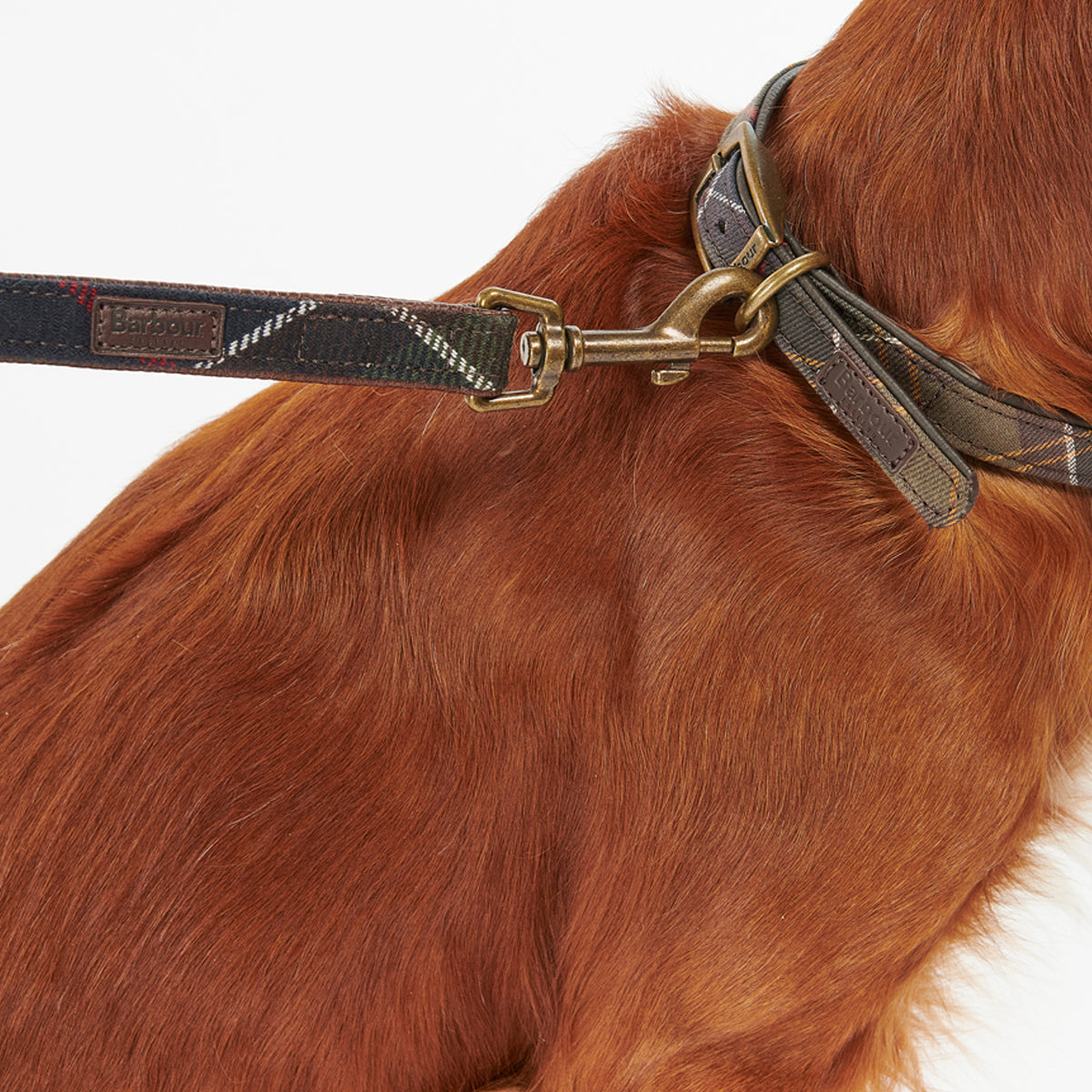 Barbour Tartan Dog Collar