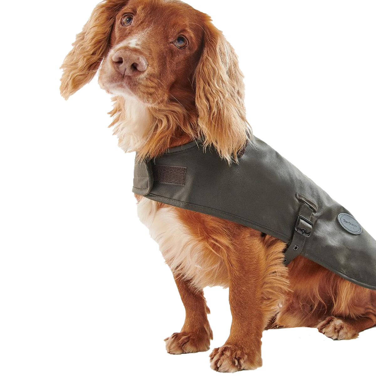 Barbour Wax Dog Coat Farm House Tack