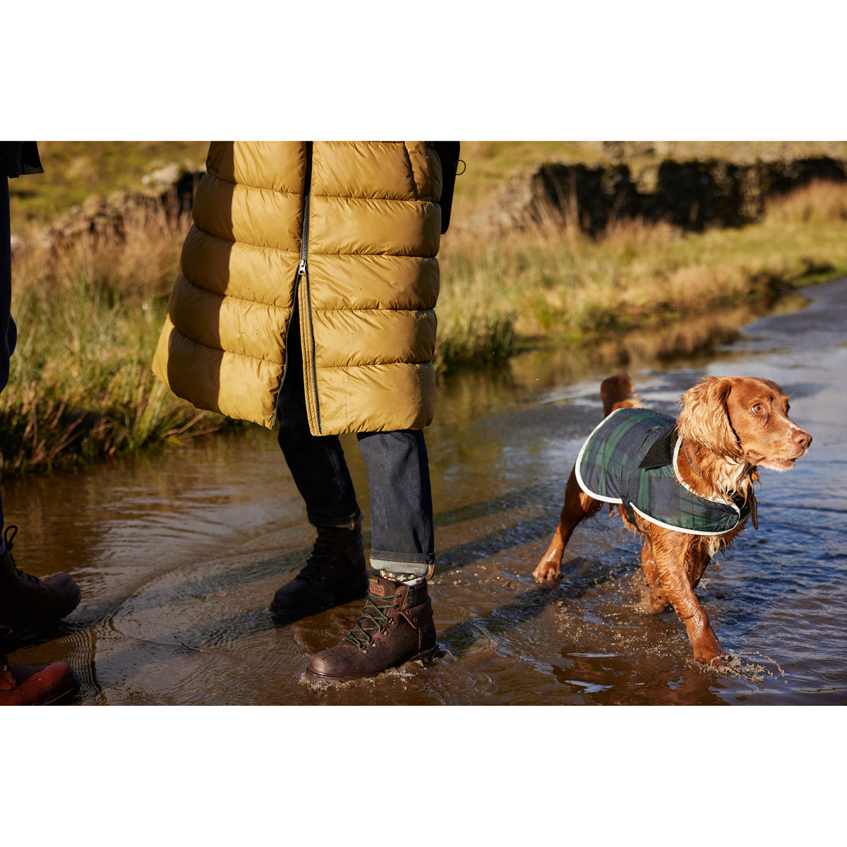 Barbour Wetherham Tartan Dog Coat