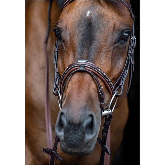 Equiline Fancy Stitched Noseband