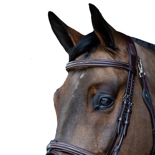 Equiline Fancy Stitched Padded Browband