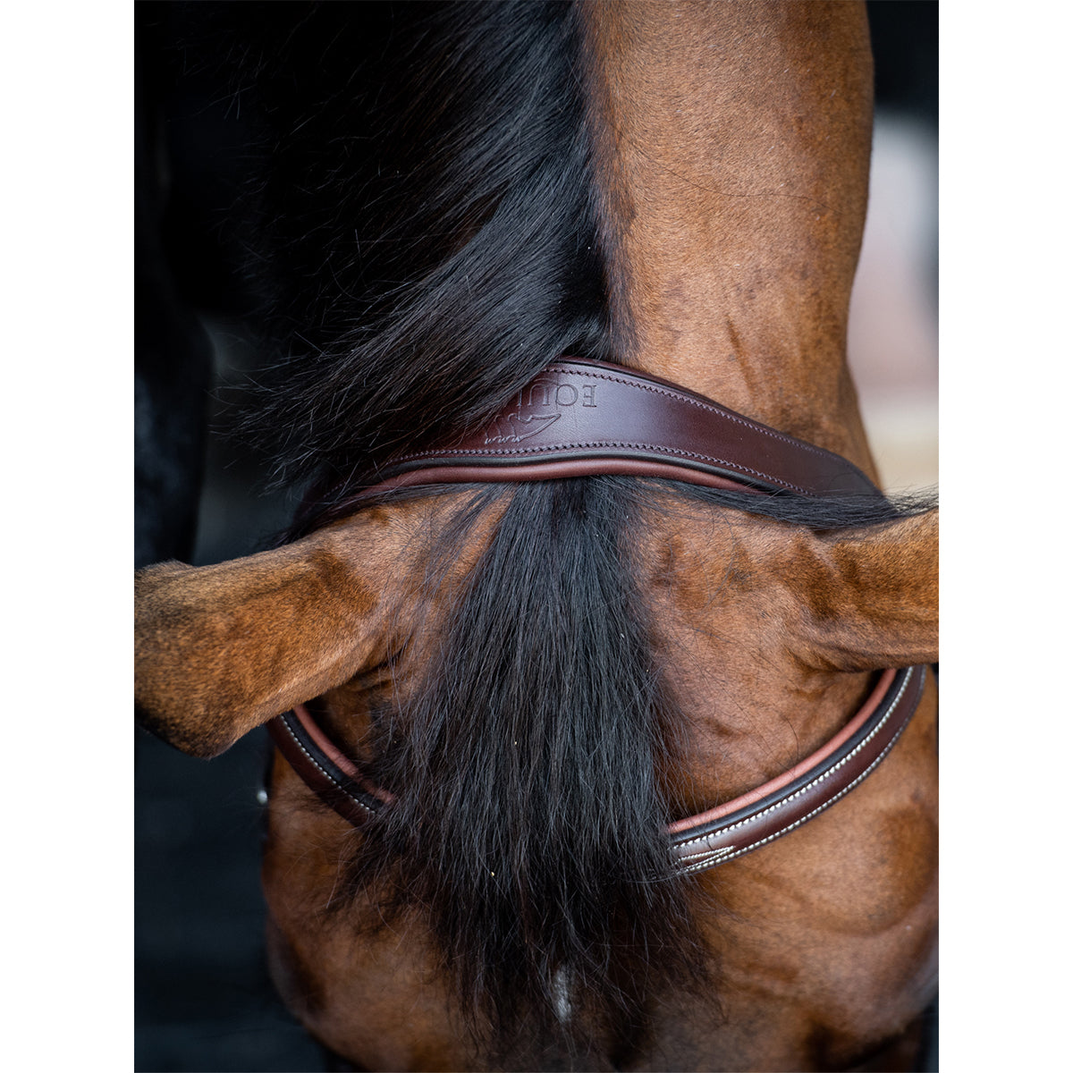 Equiline Classic Headpiece