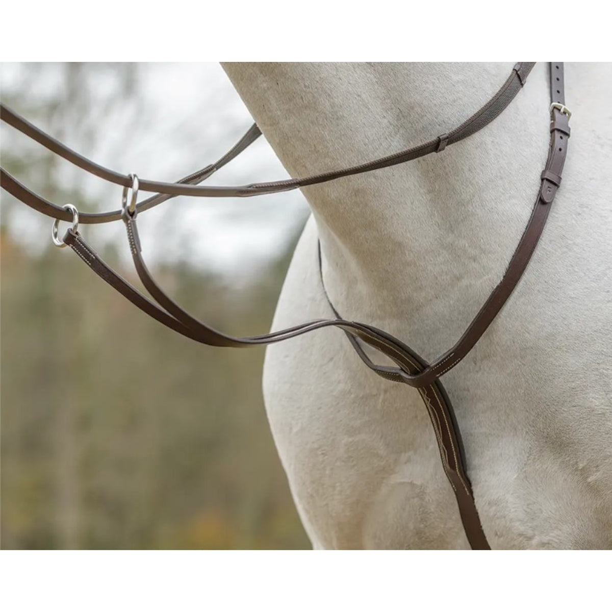 Shires Avignon Running Martingale