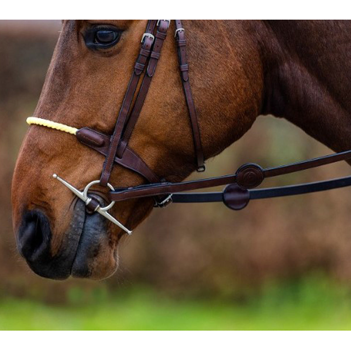 Trust St. Gallen Rope Bridle
