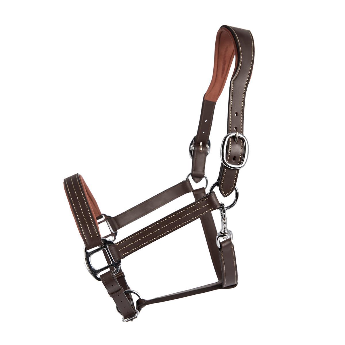 Antares Signature Halter