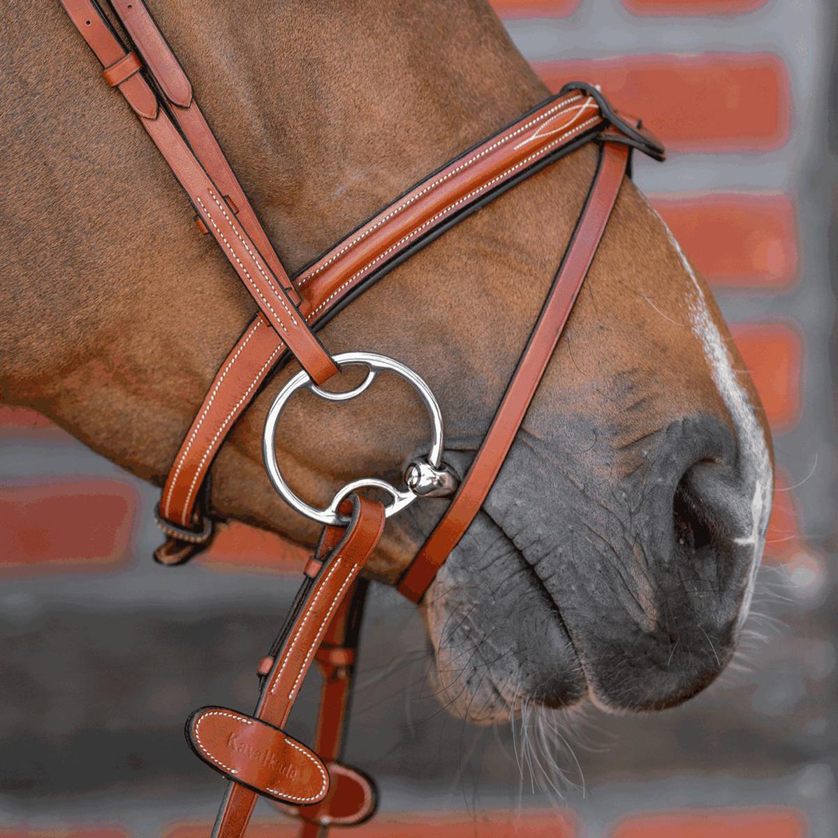 Herm Sprenger Dynamic RS Sensogan Double Jointed Multi-Ring Snaffle Bit