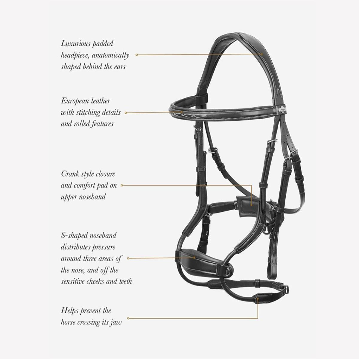 LeMieux Kudos Clear Arc Bridle