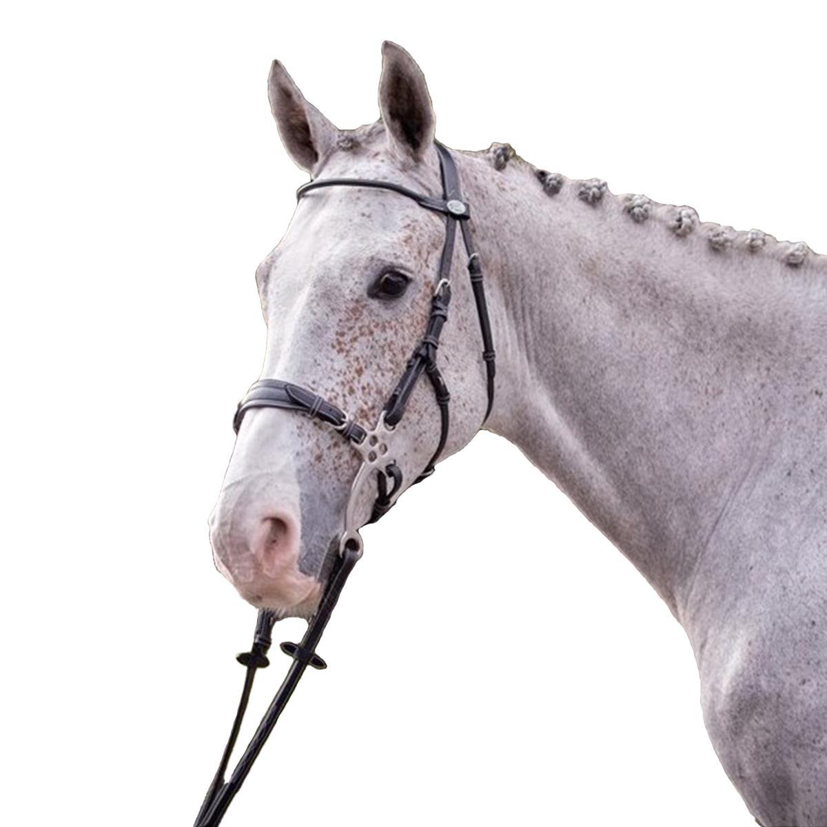 Hackamore Combiné Tandem Miracle Hackamore Combiné Tandem Miracle