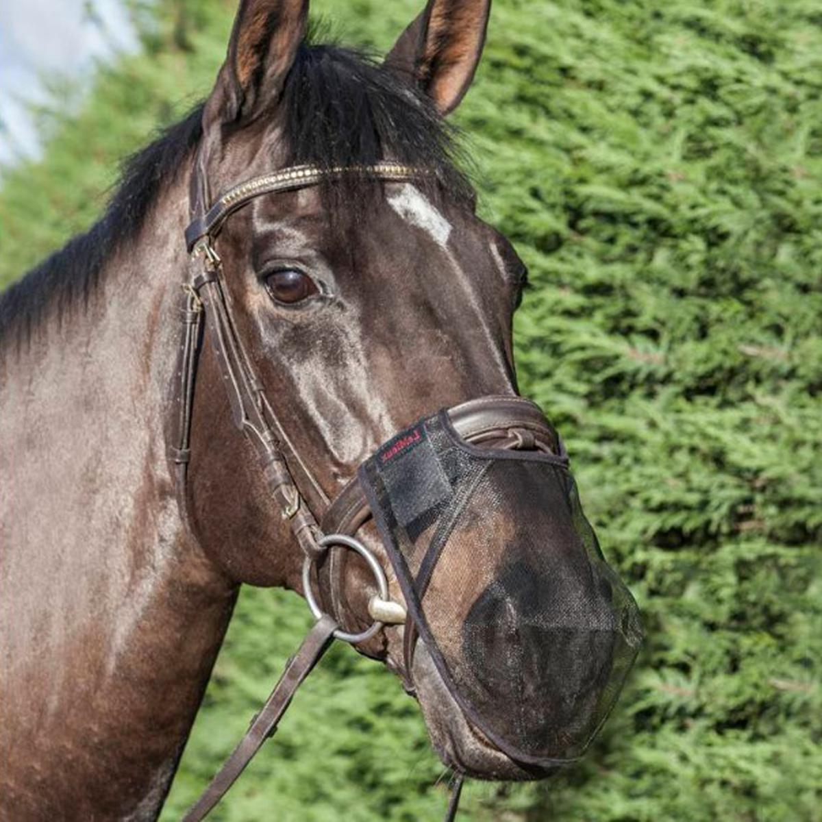 LeMieux Comfort Shield Nose Filter