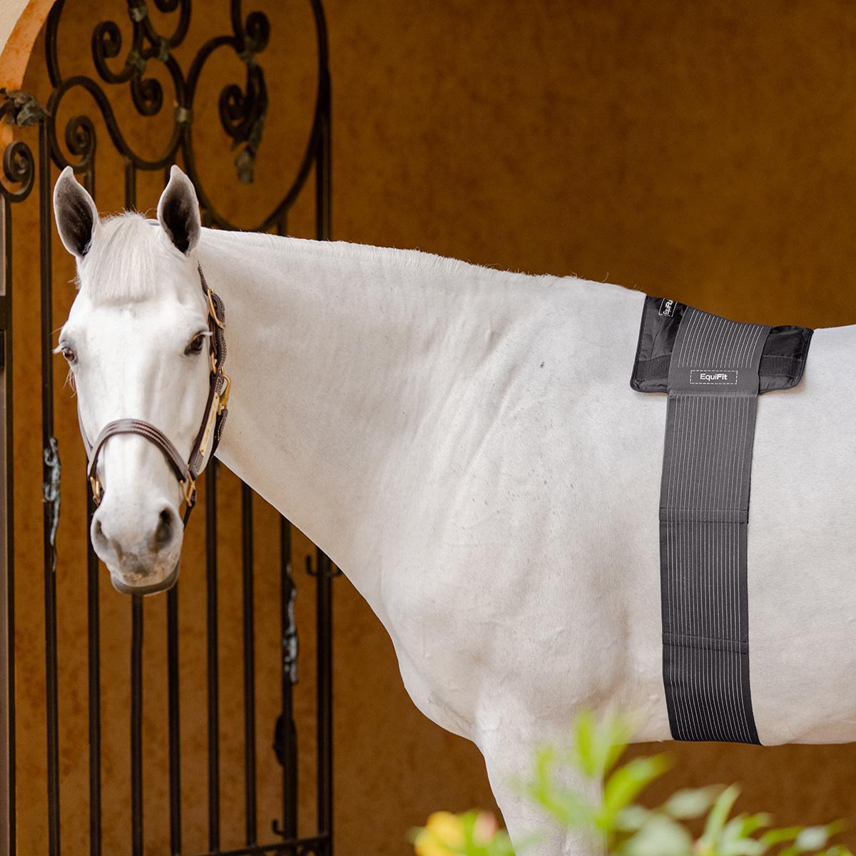 Equifit GelCompression BackPack