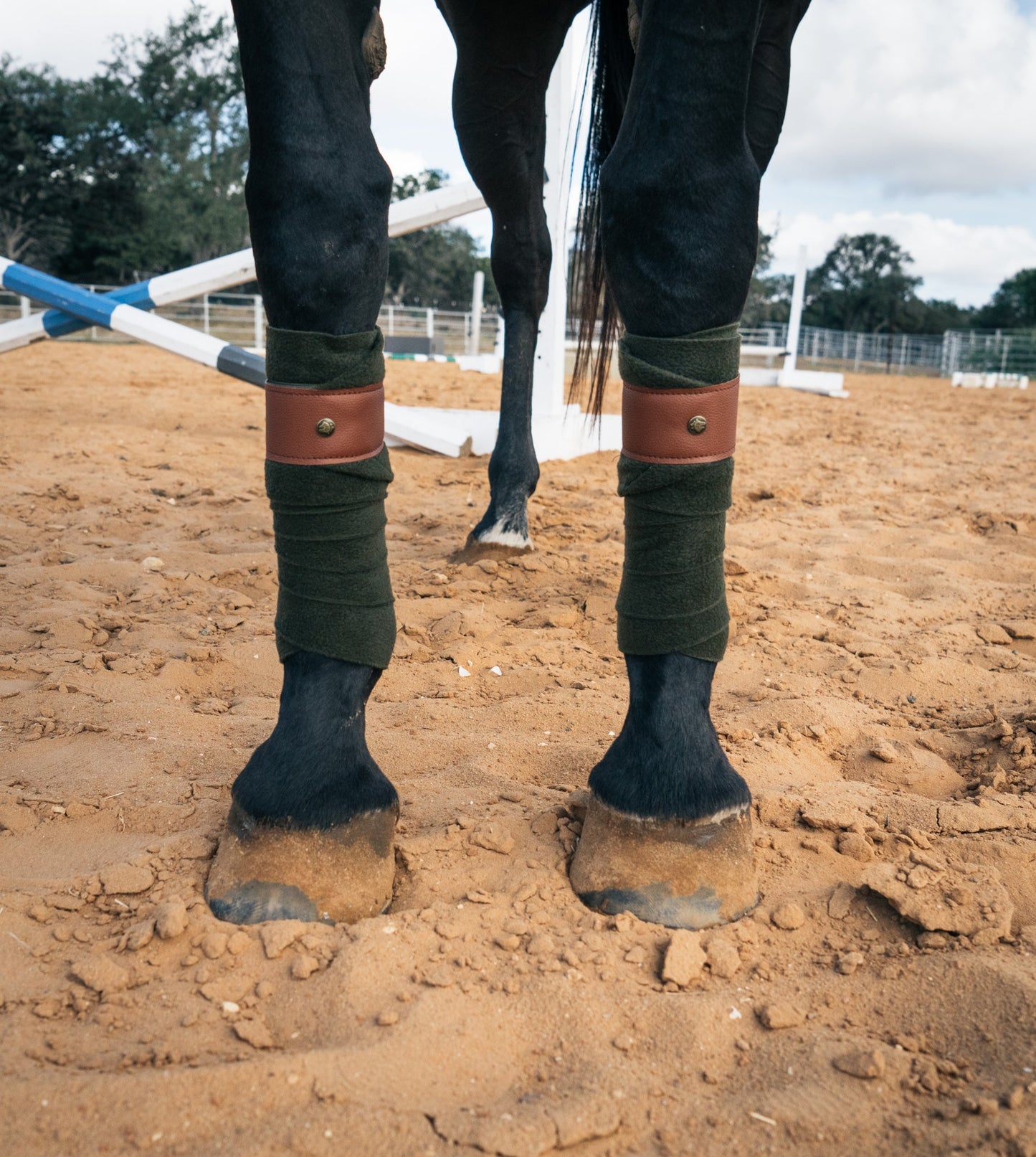 Sixteen Cypress Leatherette Polos, Camel & Cognac