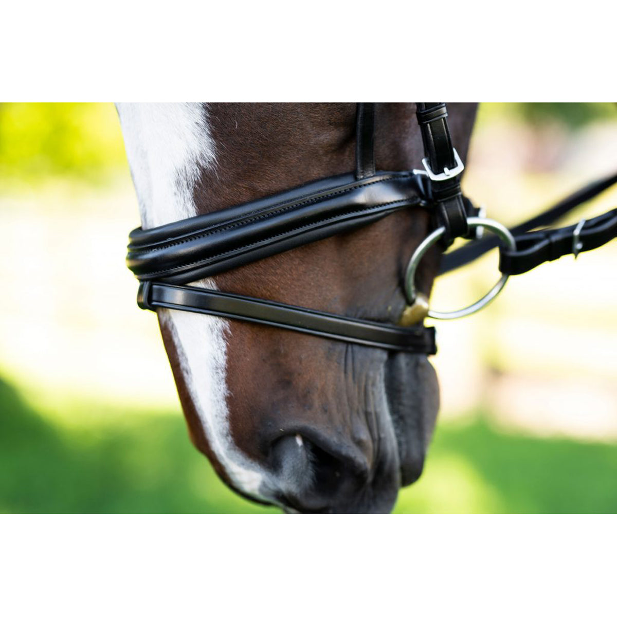 KL Select Italia Pirouette Bridle