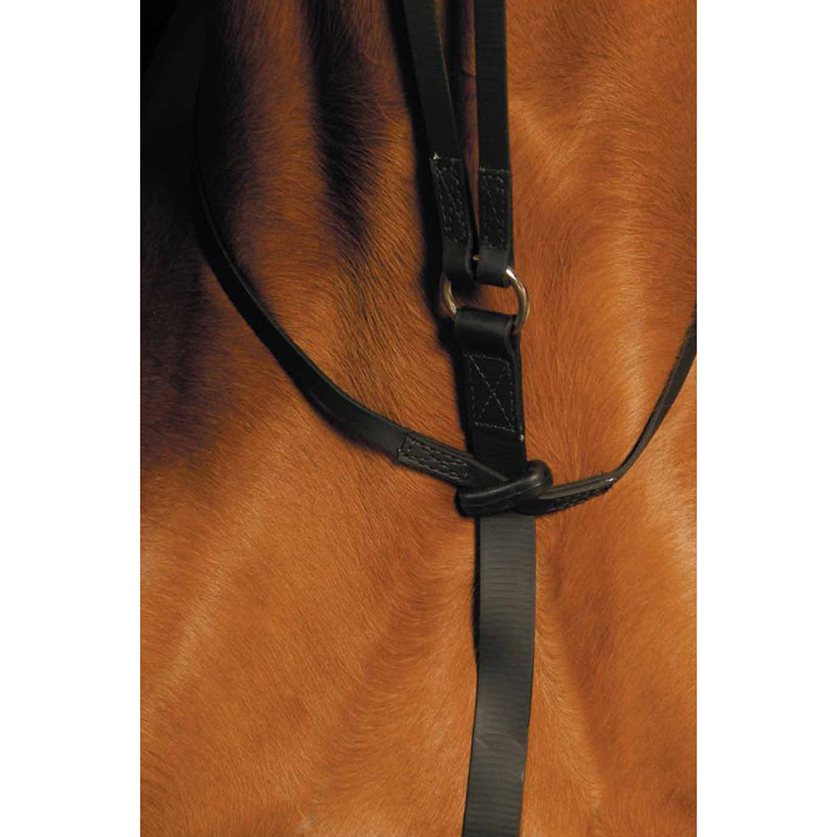 Wintec Running Martingale