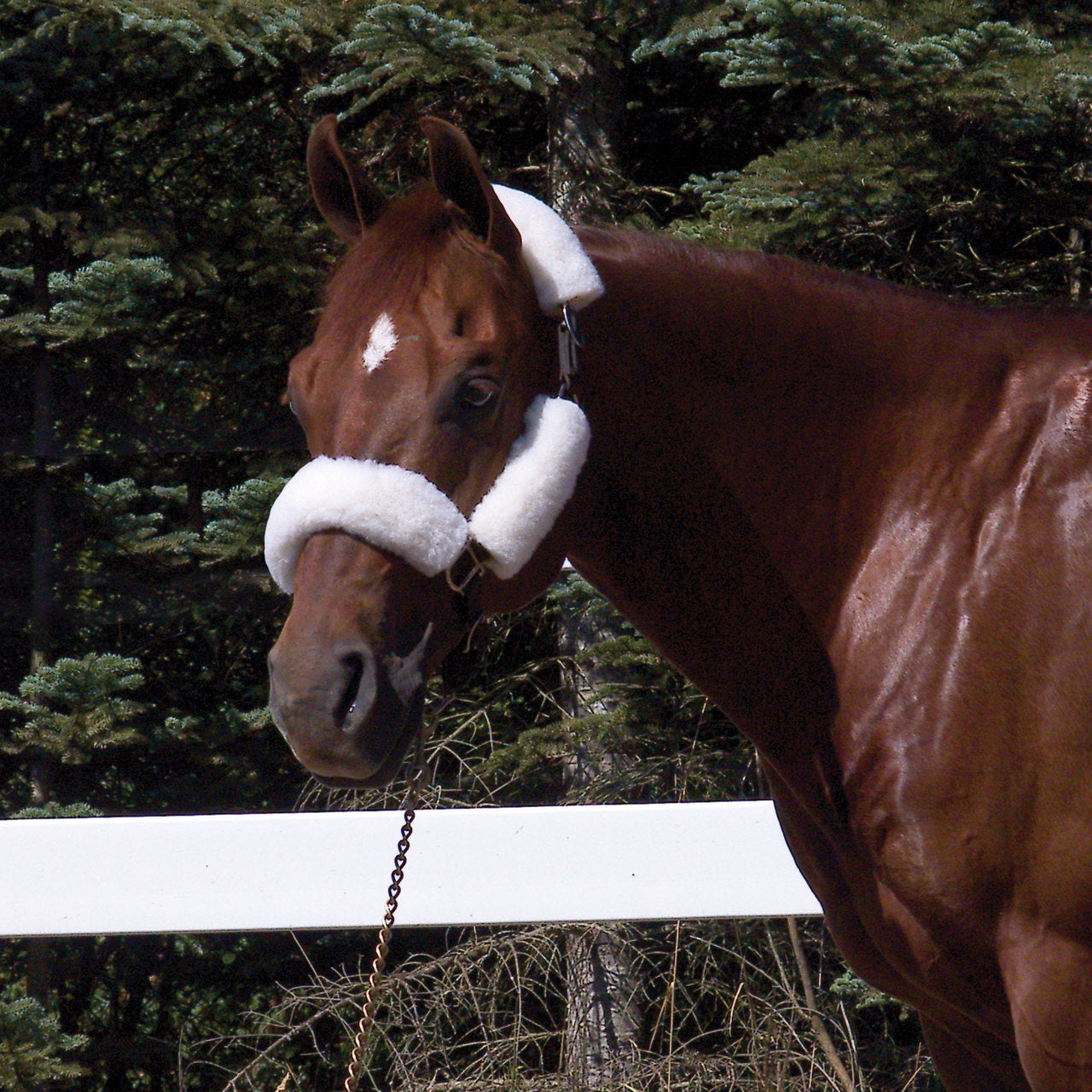 Wool Back Halter Tube Set- 4 Piece