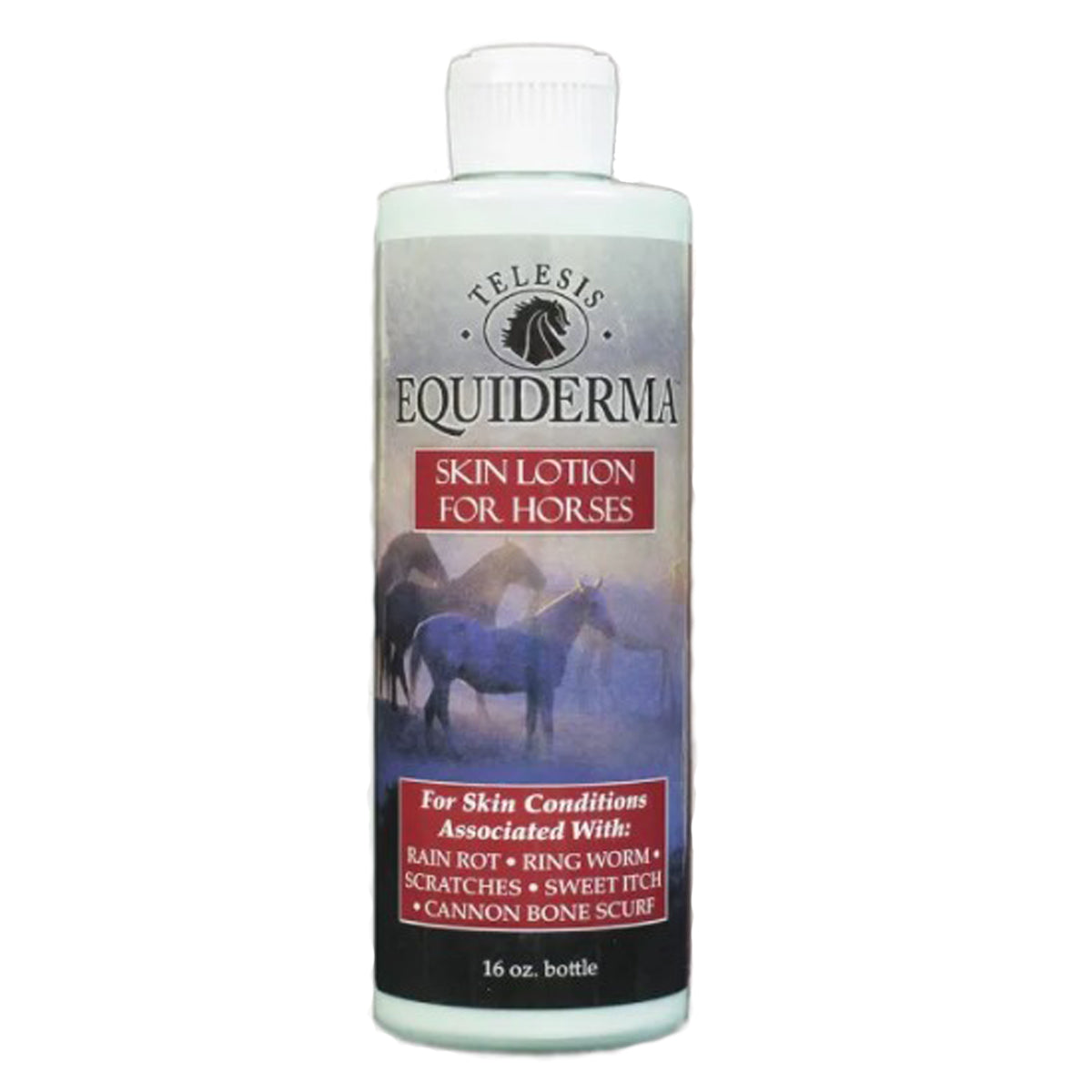 Equiderma Skin Lotion