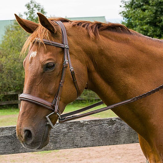 HDR Pro Mono Crown Bridle with Padded Wide Noseband with Laced Reins
