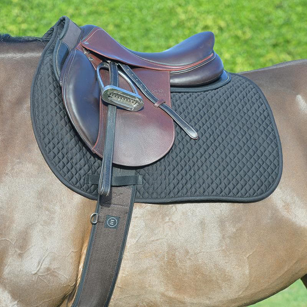 Equifit Essential Square Pad with color trim