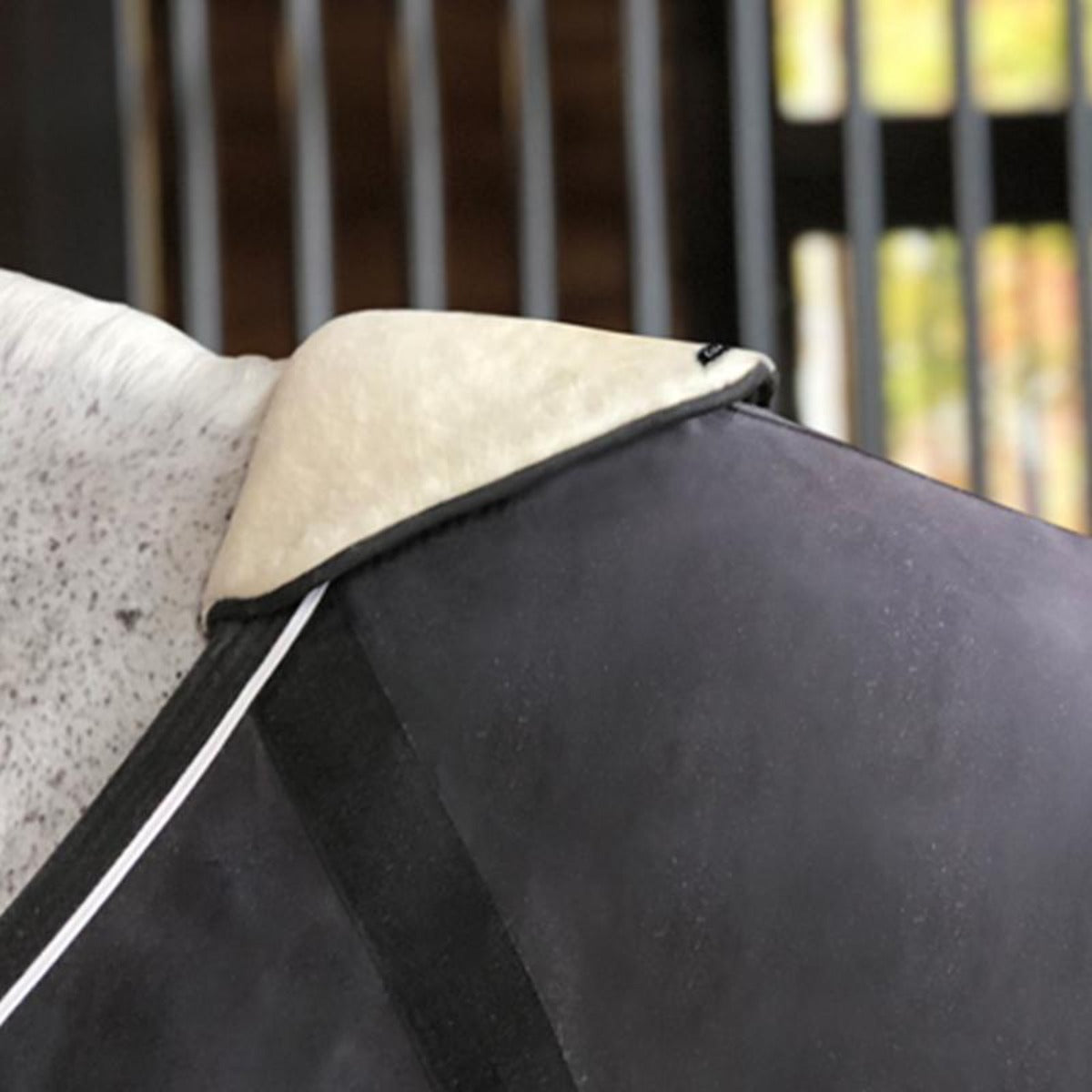 Equifit Withershield