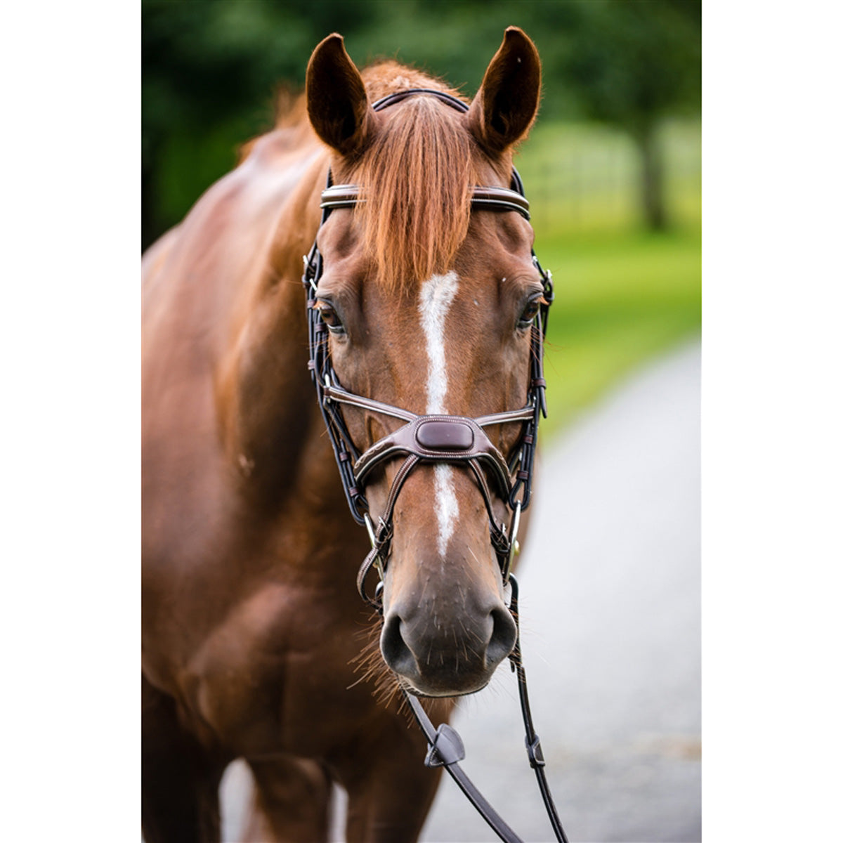 Nunn Finer Arianna Figure 8 Bridle