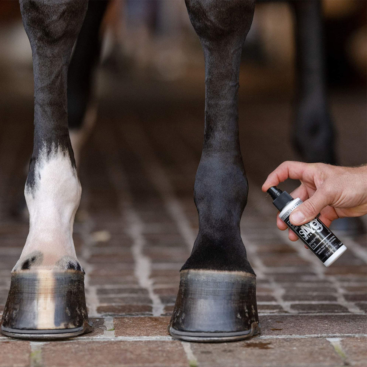 AG Silver Wound Spray
