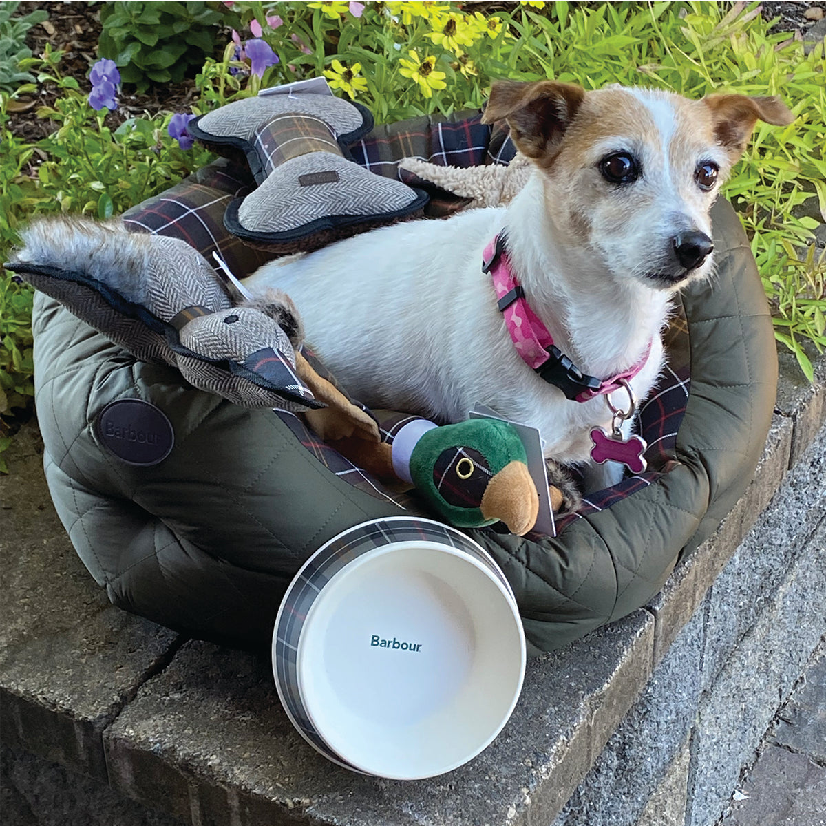 Barbour Quilted Dog Bed