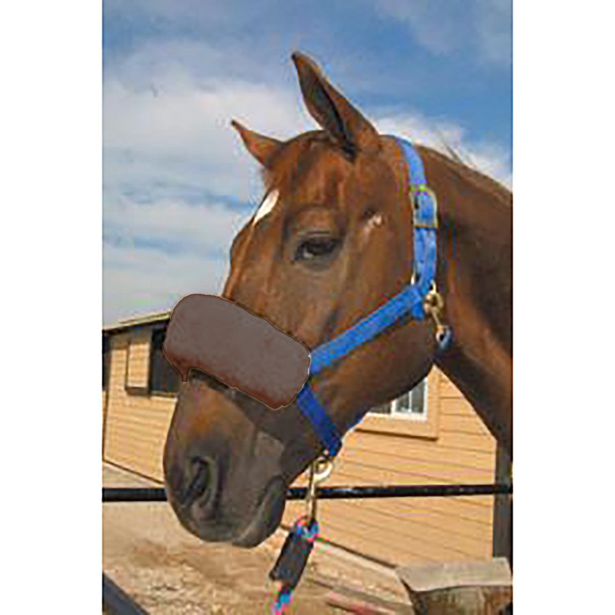 ECP Halter Fleece Noseband Cover
